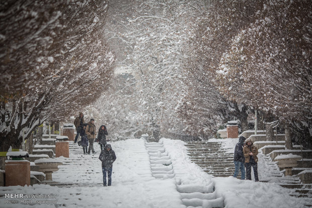 Snow in Tehran