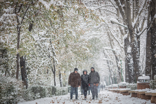 Snow in Tehran