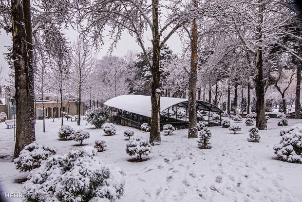 Heavy snowfall in Alborze province