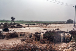سیلاب در منطقه گله دار جنوب استان فارس