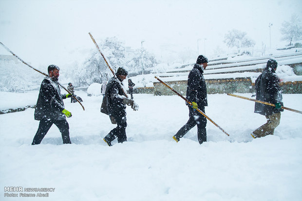 Arak under snow