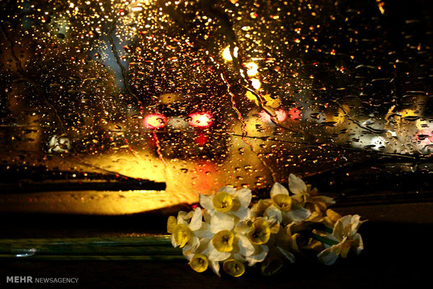 Rainy weather in Iranian southern city of Shiraz 