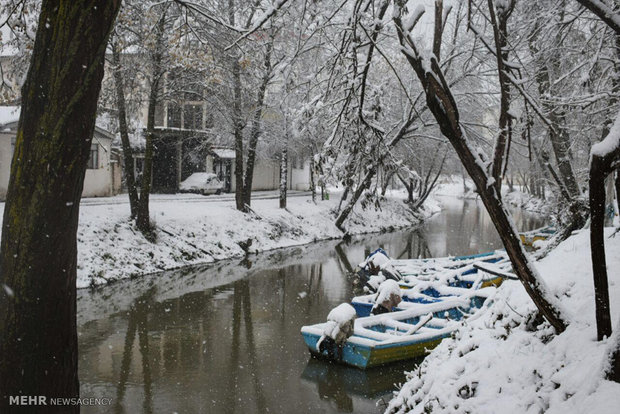 Heavy snowfall in Astara 