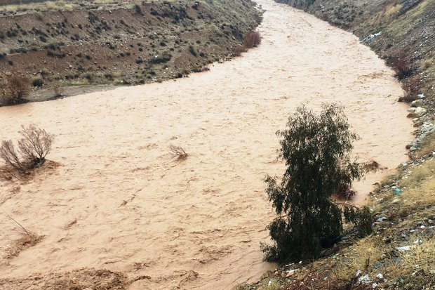 فیلم/ طغیان رودخانه خشک شیراز