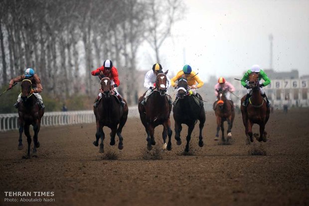 Horse-riding competition in Gonbad