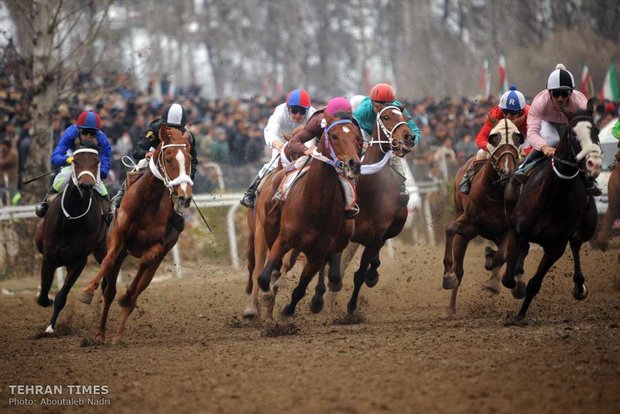 Horse-riding competition in Gonbad