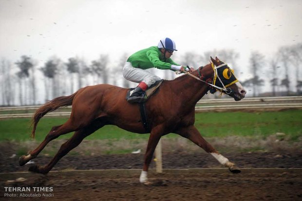 Horse-riding competition in Gonbad