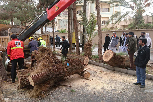 خسارت طوفان و باد شدید در زاهدان