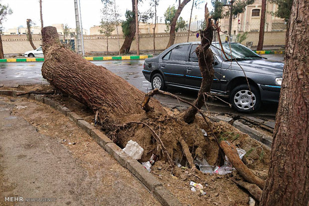 خسارت طوفان و باد شدید در زاهدان