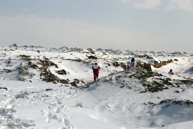 Red Crescent sniffing dog training camp
