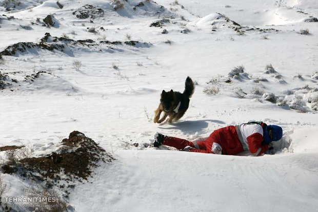 Red Crescent sniffing dog training camp