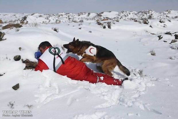 Red Crescent sniffing dog training camp