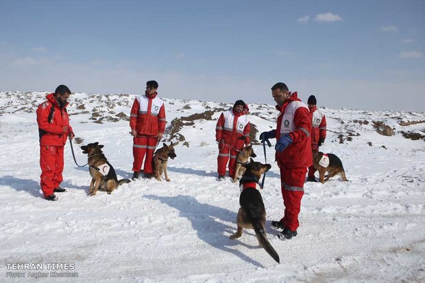 Red Crescent sniffing dog training camp