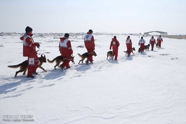 Red Crescent sniffing dog training camp