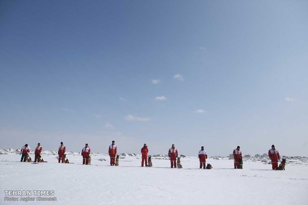 Red Crescent sniffing dog training camp