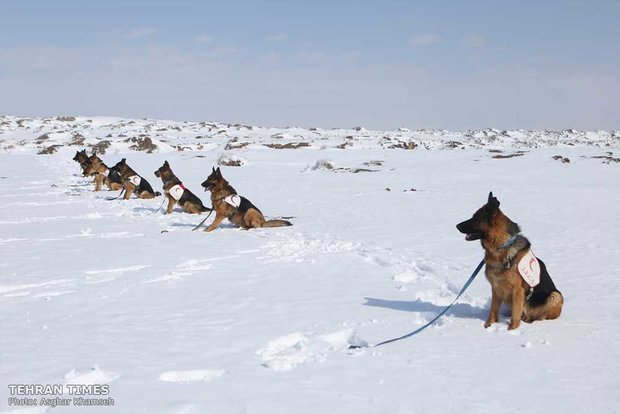 Red Crescent sniffing dog training camp