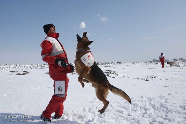 Red Crescent sniffing dog training camp