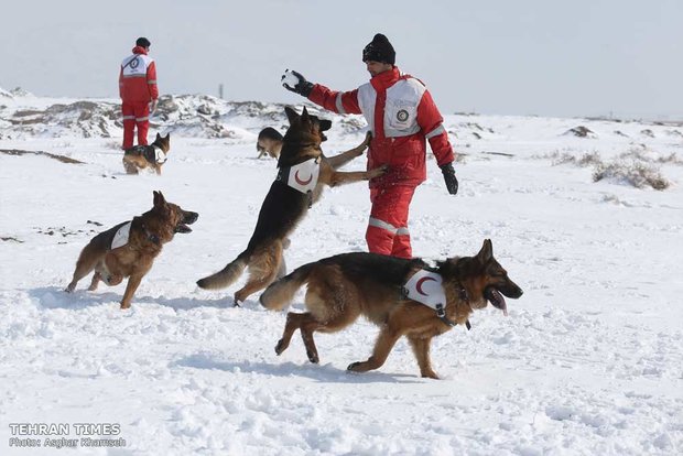 Red Crescent sniffing dog training camp