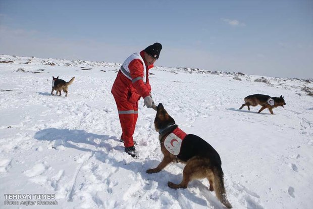 Red Crescent sniffing dog training camp