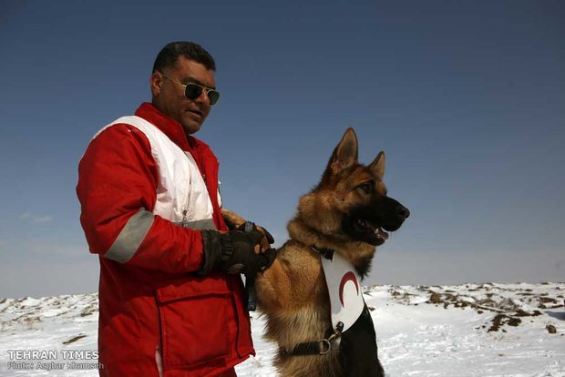 Red Crescent sniffing dog training camp