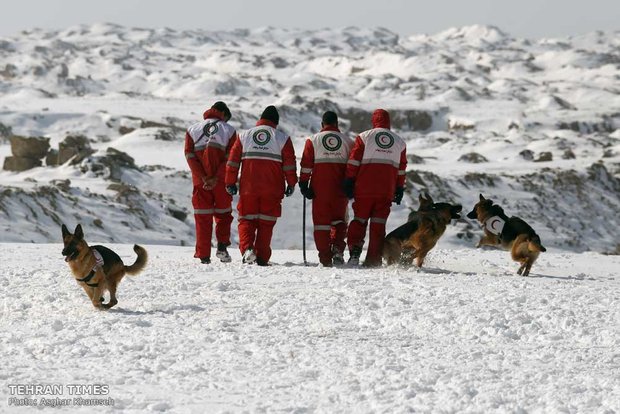 Red Crescent sniffing dog training camp