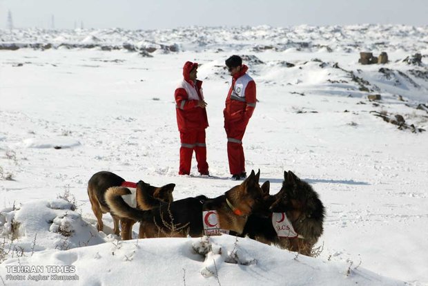 Red Crescent sniffing dog training camp