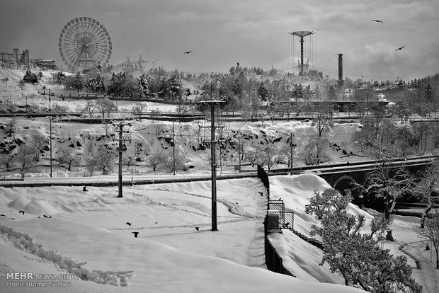 Snowfall in Mashhad