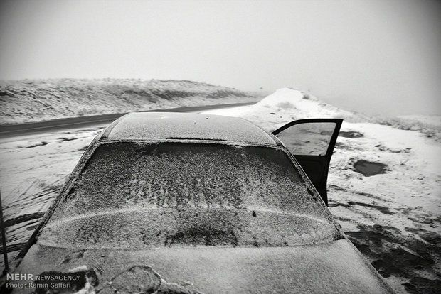 Snowfall in Mashhad