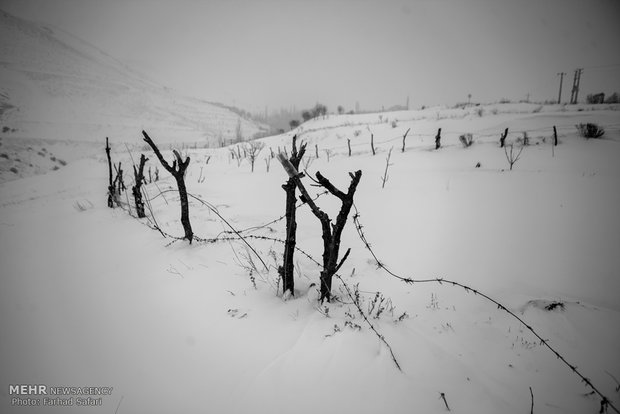 ast days of winter framed in photos