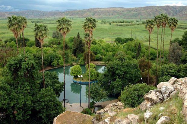 «چرام» سرزمین هزارویک‌شب؛ رقص شالیزارها گردشگران را می‌خواند