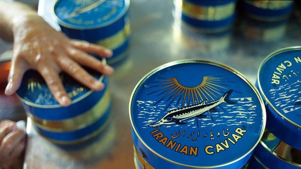 Iran Mazandaran province's caviar exports triple