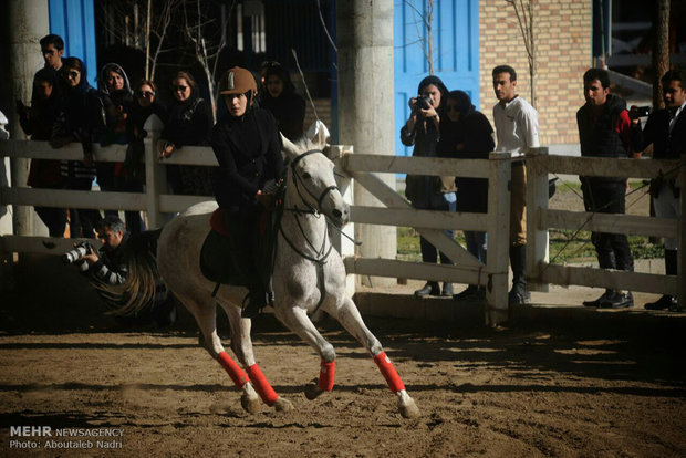 Horse racing in Gorgan