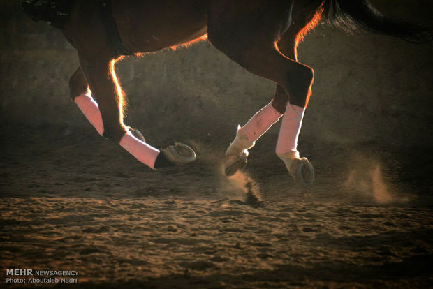 Horse racing in Gorgan