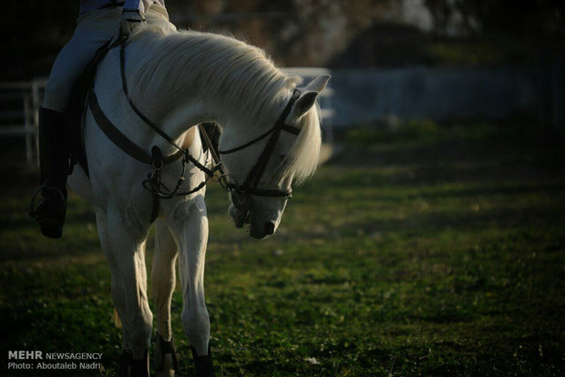 Horse racing in Gorgan