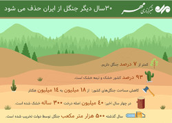 تا ۳۰ سال دیگر ایران جنگل ندارد!