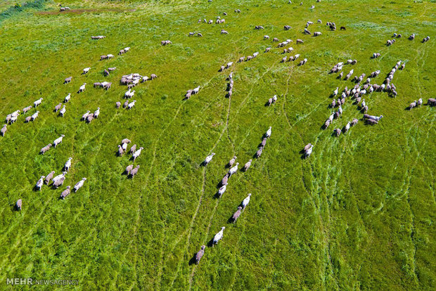 آمریکا از نمای بالا‎