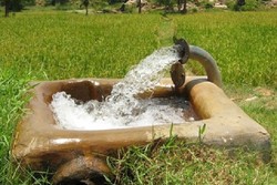برداشت آب در دشت بردخون با اصلاح الگوی کشت نصف می‌شود