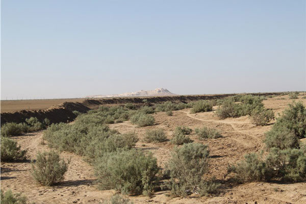 ۳۰۰ هکتار از اراضی شمال گلستان در حال بیابانی شدن است