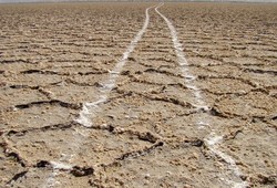 دریاچه نمک آران و بیدگل درخطر خشک شدن دائمی/بحران ریزگردها جدی شد