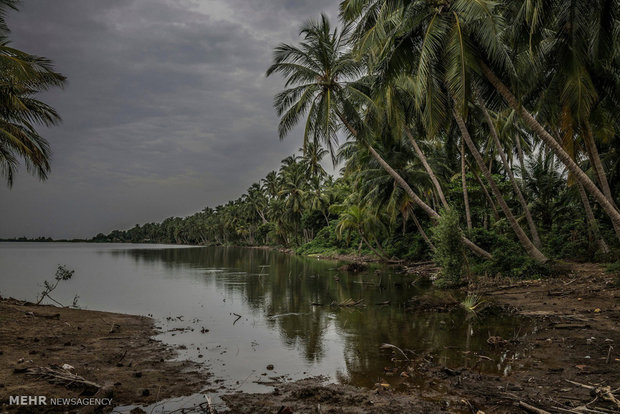 آلودگی در حاشیه خلیج بنگال هند‎