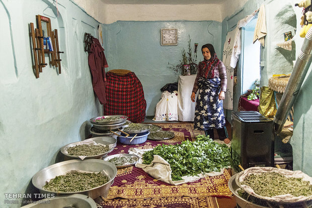 A woman has collected tree leaves wet with rain to dry off and then feed the silkworms. 