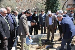 وزیر علوم در کوی دانشگاه درخت کاشت