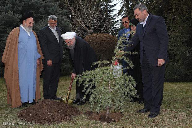 Rouhani plants a sapling on Natl. Arbor Day 