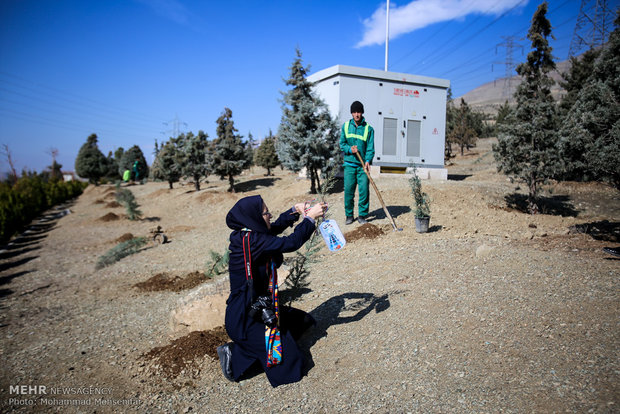 Sapling planting for solidarity with 230 martyred pilots