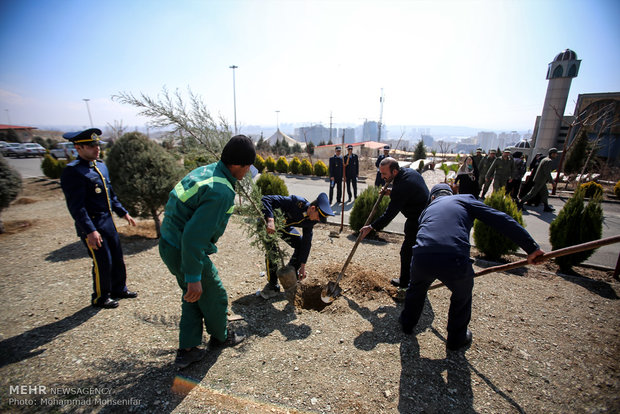 Sapling planting for solidarity with 230 martyred pilots