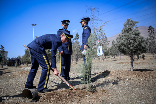 Sapling planting for solidarity with 230 martyred pilots