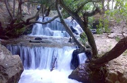 رخ نمایی آبشار یاسوج در قلب کهگیلویه و بویراحمد