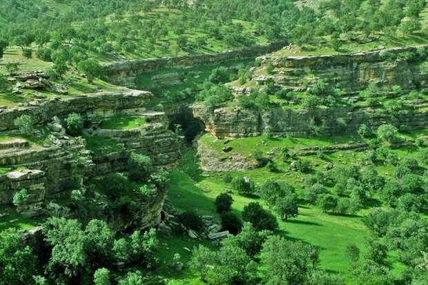 اردیبهشت رویایی در ایلام؛ عروس زاگرس  دلربایی می کند