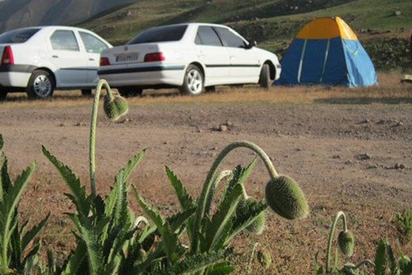 توزیع زمانی و مکانی گردشگری اردبیل رو به رشد است