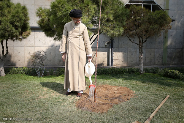 Leader plants sapling to mark Natl. Arbor Day